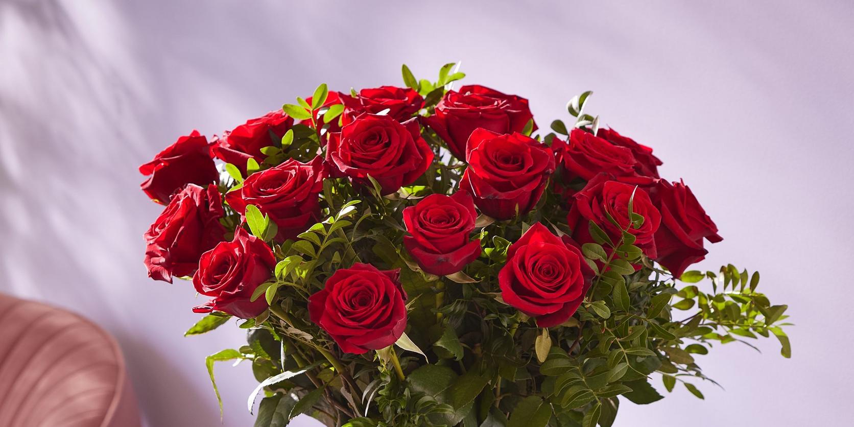 18-large-headed-red-roses-3