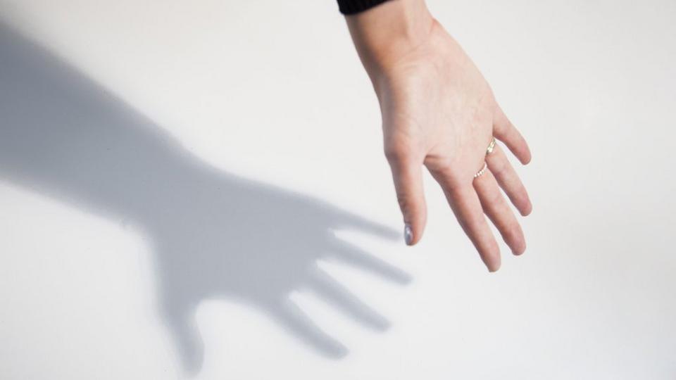 Shadow 3